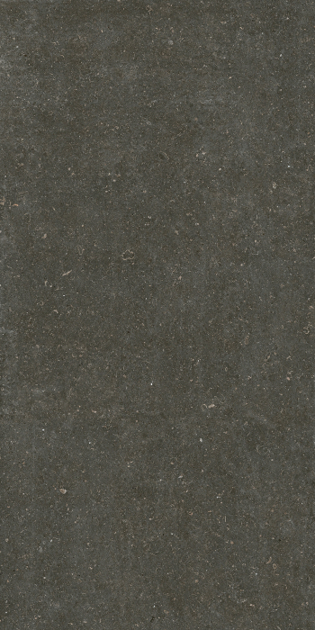 Placi ceramice portelanate Florim Rinascenza Arena Platino 120x240 [3]