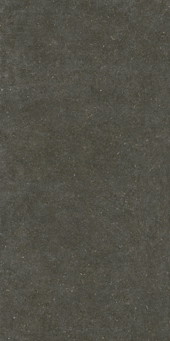 Placi ceramice portelanate Florim Rinascenza Arena Platino 120x240 [4]