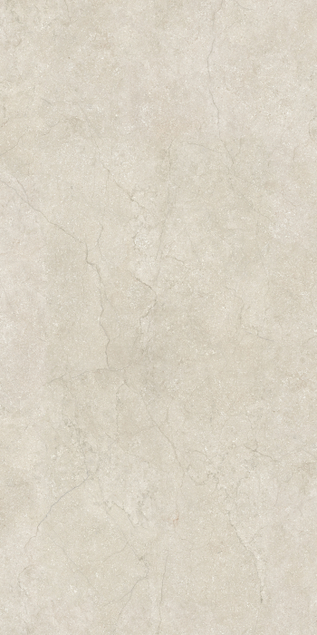 Placi ceramice portelanate Florim Stone Life Shell120x240 [2]