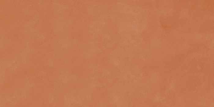RETINA [5]