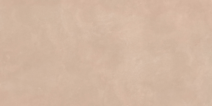 RETINA [11]
