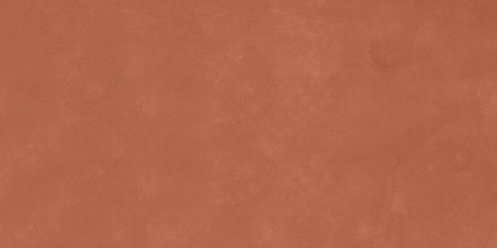 RETINA [13]