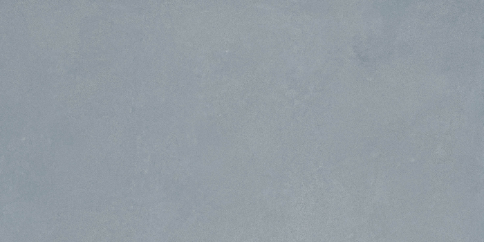 RETINA [17]
