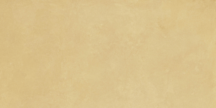 RETINA [19]