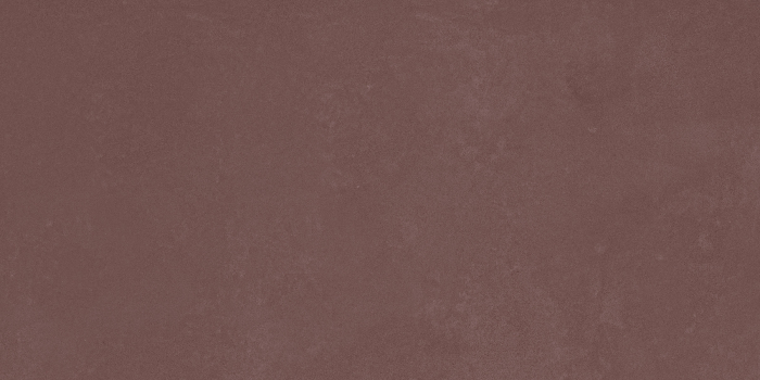 RETINA [21]