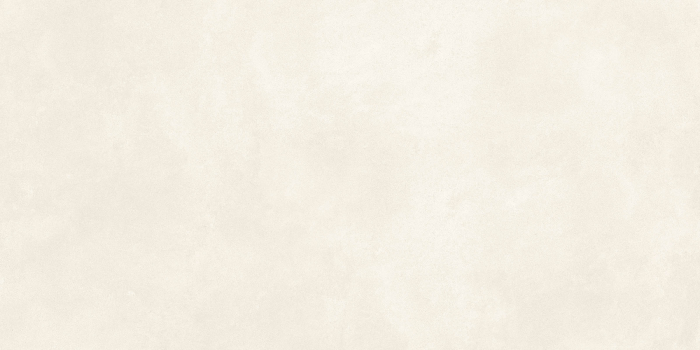 RETINA [26]