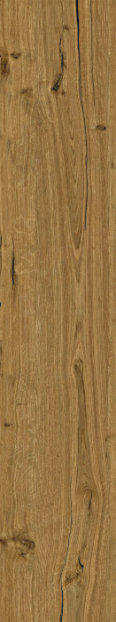 ROBUR [2]