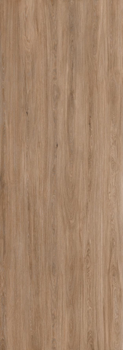 Sugi [2]