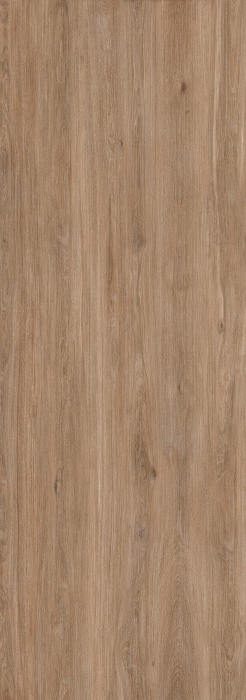 Sugi [3]