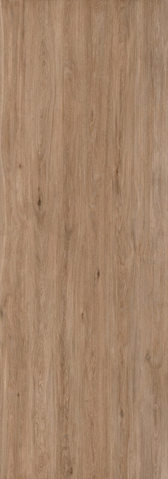 Sugi [1]