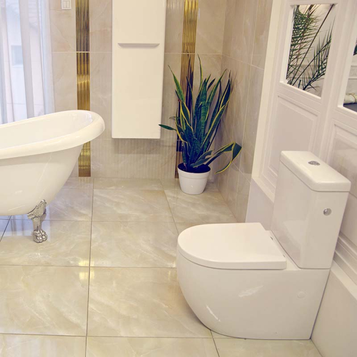 WC MONOBLOC MINERVA [1]