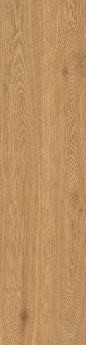 WOODWISE [3]