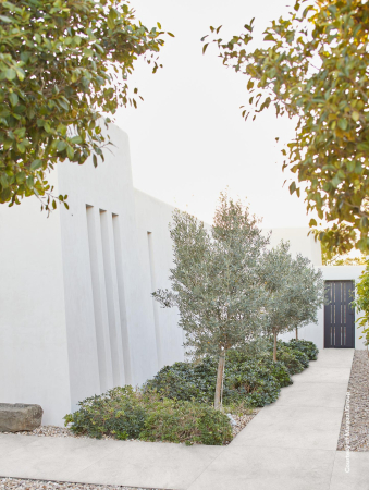 NATURALIA20 - Bianco