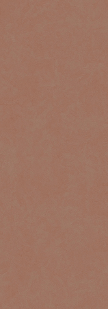 Acero [5]