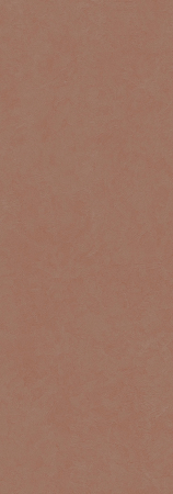 Acero [4]