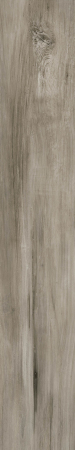 ANTIQUA [4]