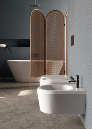 BIDEU SUSPENDAT - CRUISE [1]