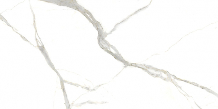 CALACATA MICHELANGELO [4]