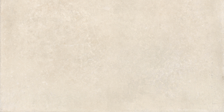 Placi ceramice portelanate Imola Crew Umani 60x120 [3]