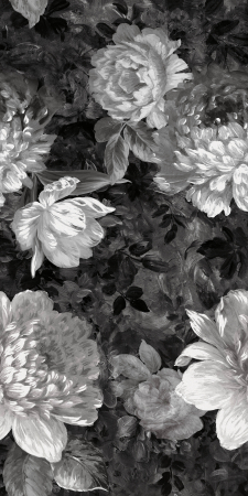 Decor [13]