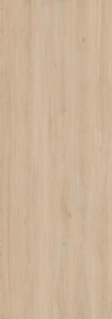 Enoki [2]