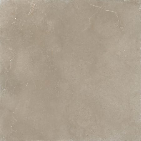 HOLLSTONE [10]