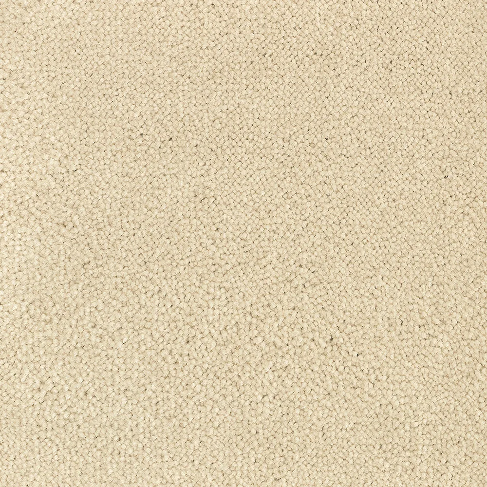 Mochet premium Italia Bloom Back [9]