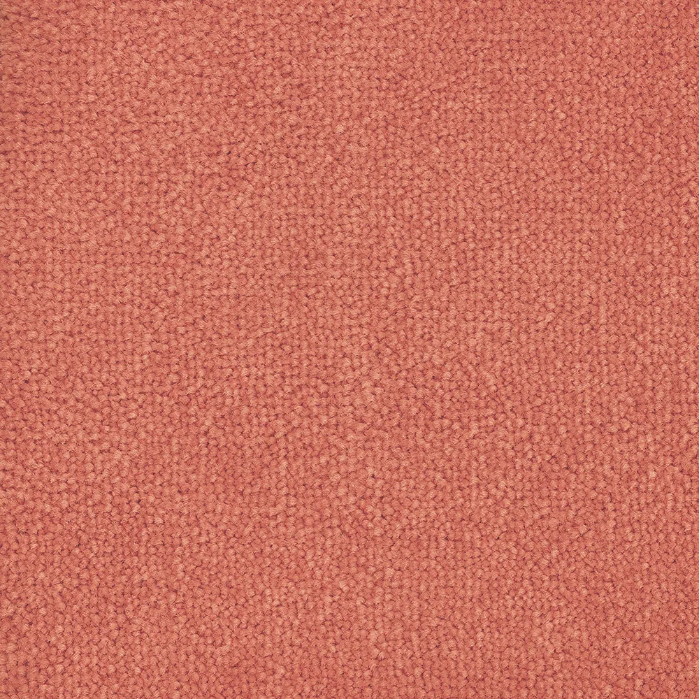 Mochet premium Italia Bloom Back [14]
