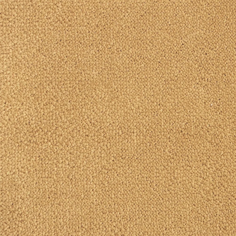 Mochet premium Italia Bloom Back [8]