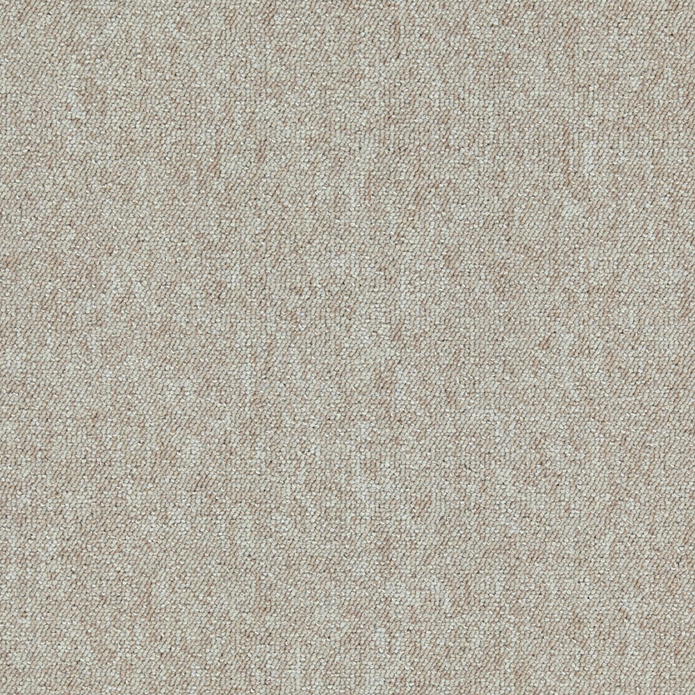 Mochet premium Italia Bologna + Bologna Linea [10]