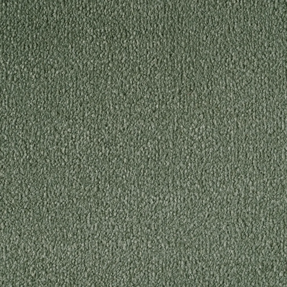 Mochet premium Italia Divina [12]