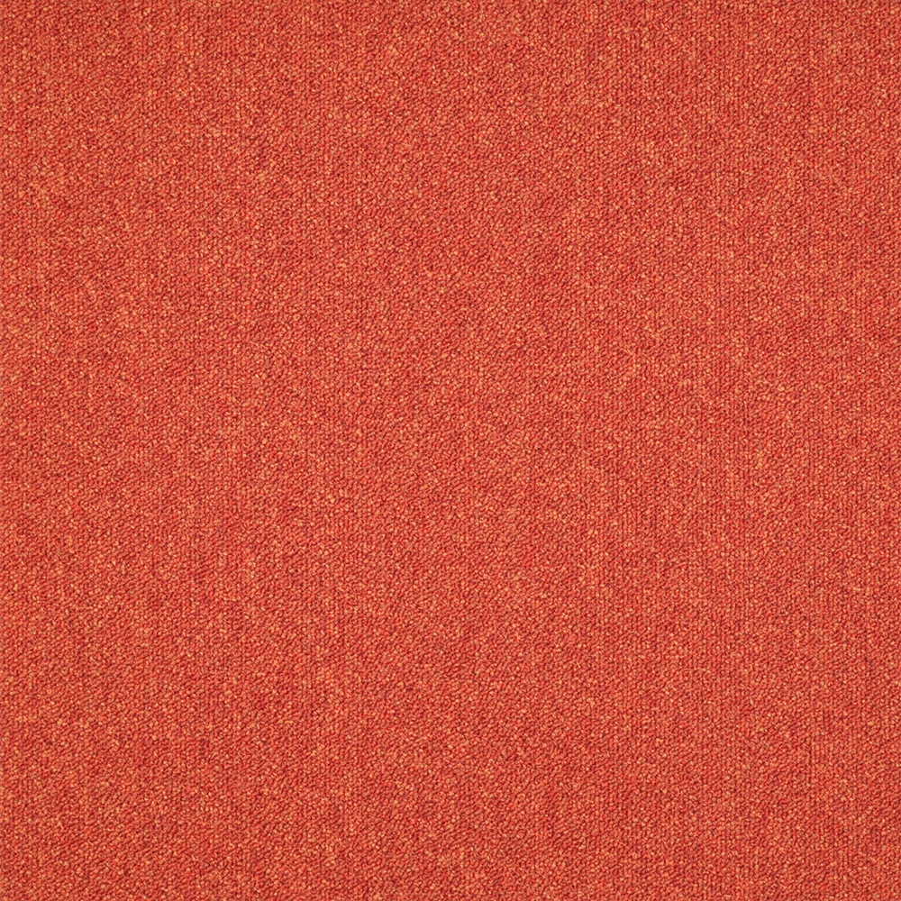 Mochet premium Italia Ferrara [4]