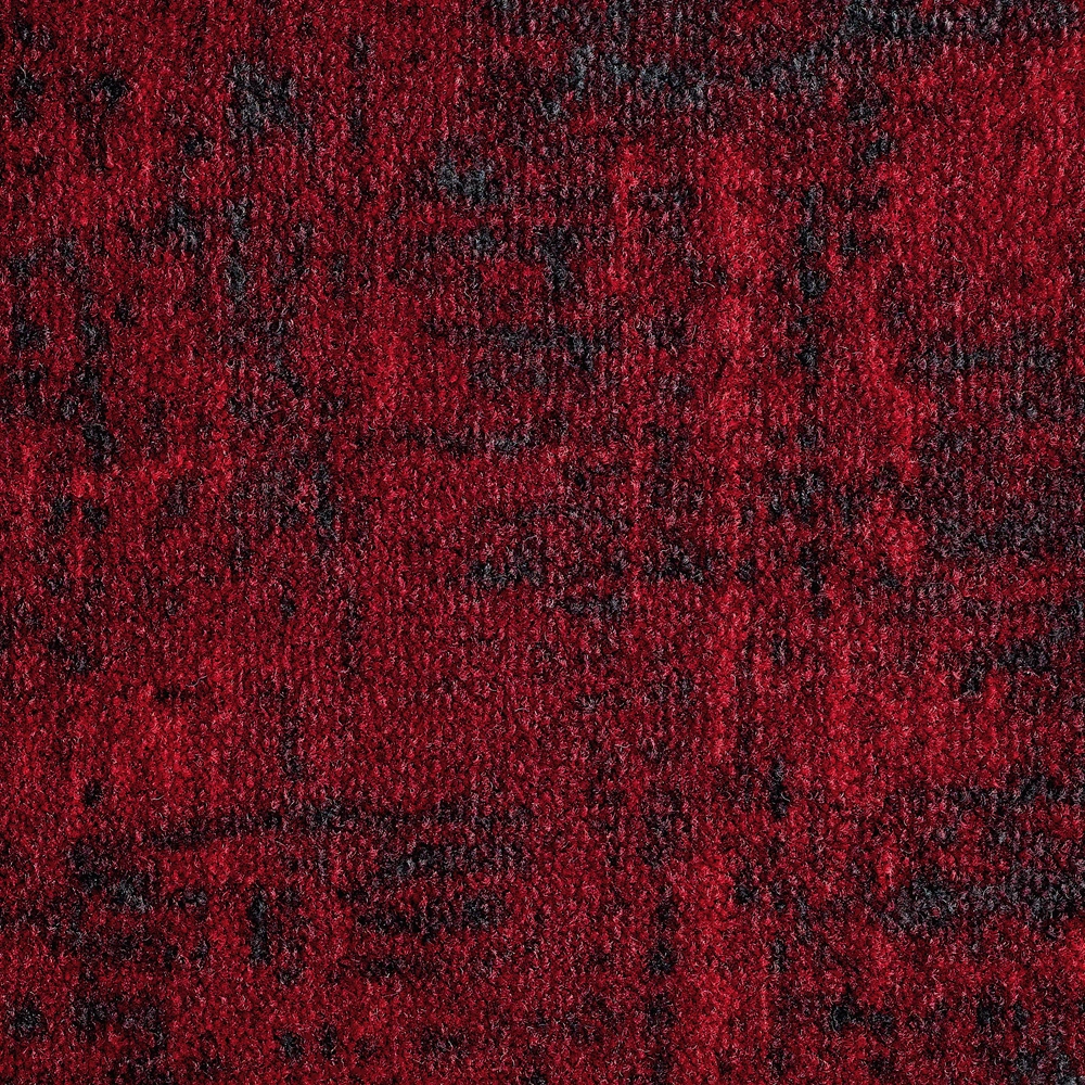 Mochet premium Italia Leone [11]