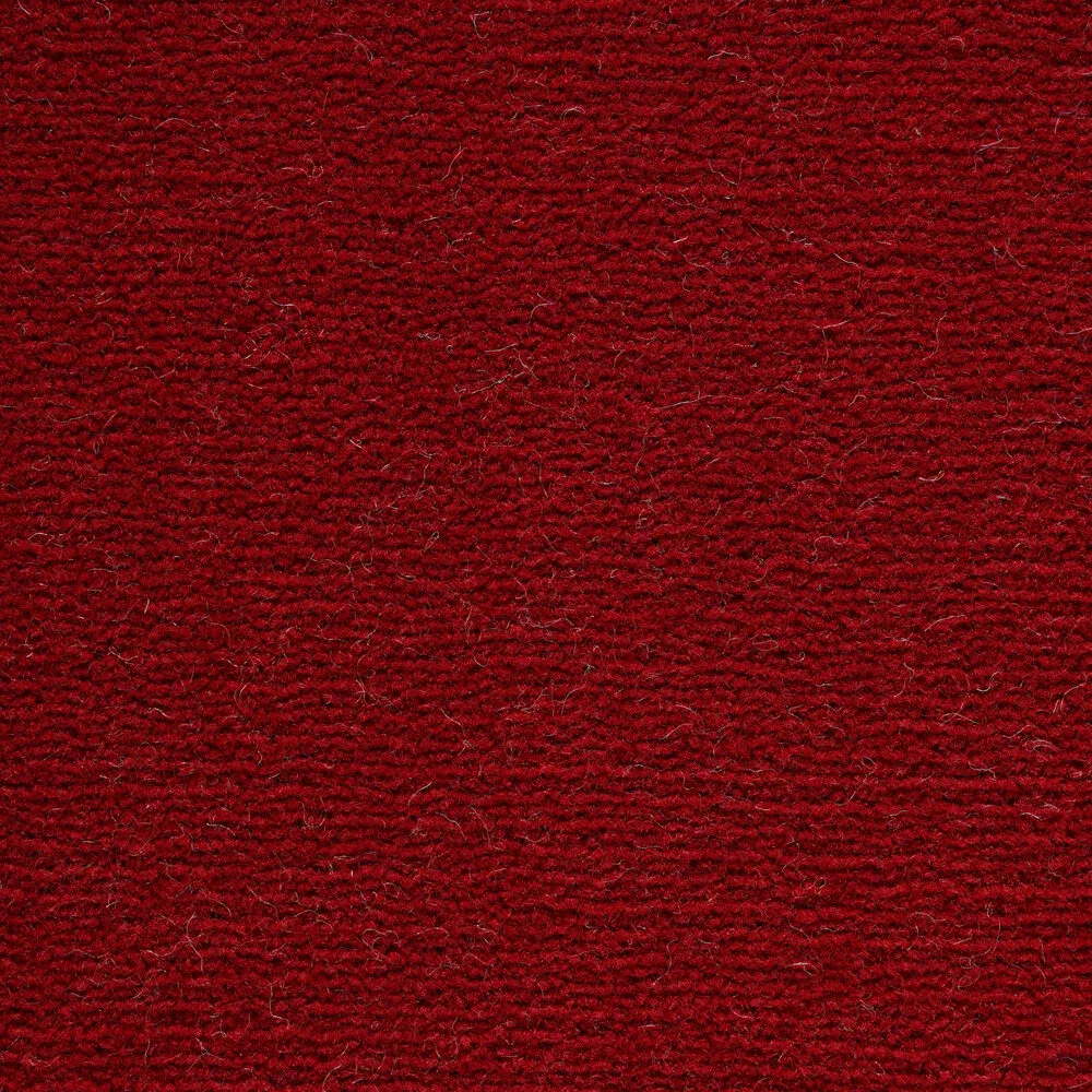 Mochet premium Italia Maratea [19]
