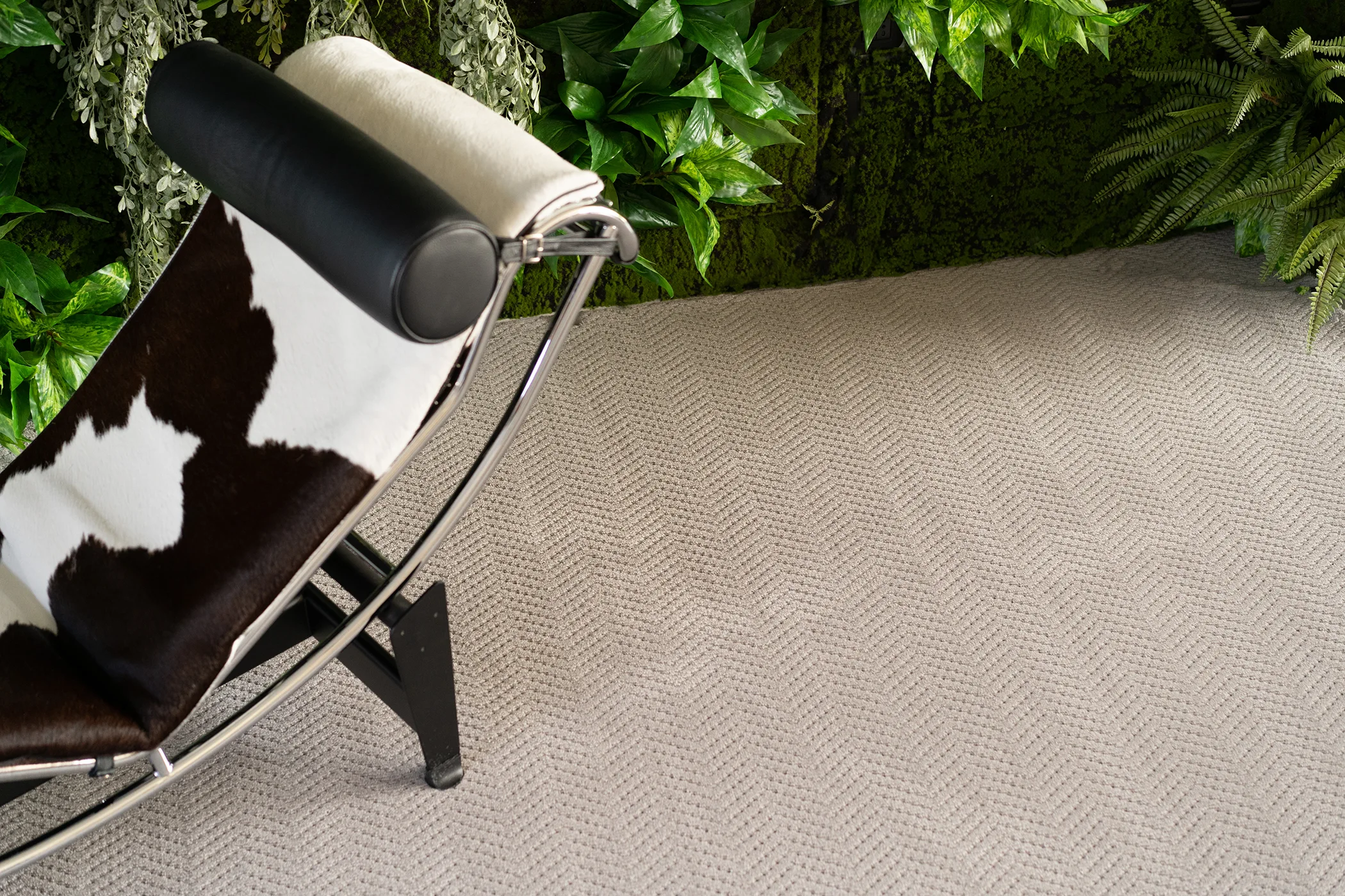 Mochet premium Italia Marea [4]