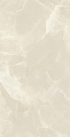 ONYX [5]