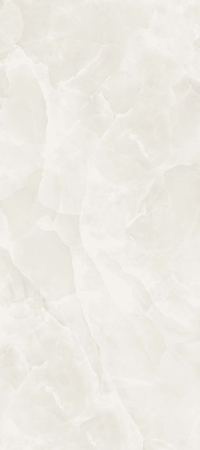 ONYX [9]