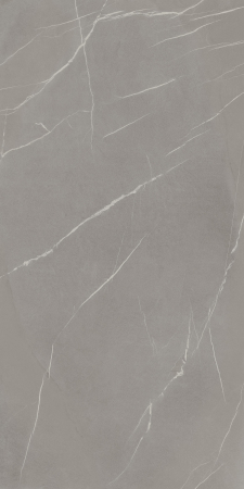 Pietra Piasentina Grigio [1]