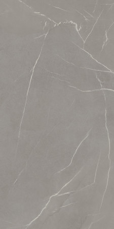 Pietra Piasentina Grigio [2]