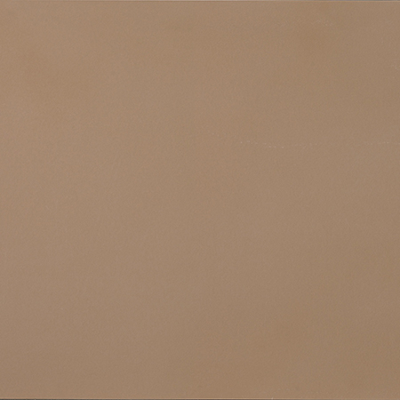 Placi ceramice portelanate Casalgrande Padana  R-Evolution 60x120 [8]