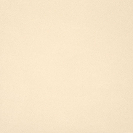 Placi ceramice portelanate Casalgrande Padana Unicolor [1]