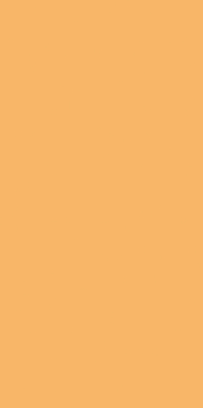 Placi ceramice portelanate Florim Buildtech/2.0 120x240 [3]