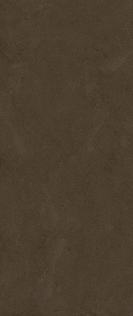 Placi ceramice portelanate Florim FLORIMskin Dust Brown 120x320 [3]