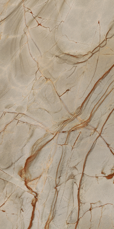 Placi ceramice portelanate Florim Nature Mood Rainforest 120x240 [1]