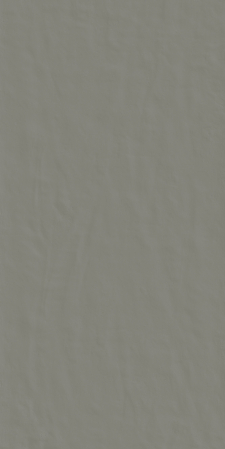 Placi ceramice portelanate Florim Neutra-60 06 Grafite 120x240 [1]