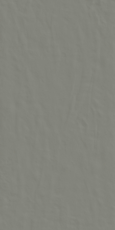 CONCRETE - Placi ceramice portelanate Florim Neutra-60 06 Grafite 120x240