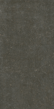 Placi ceramice portelanate Florim Rinascenza Arena Platino 120x240 [2]