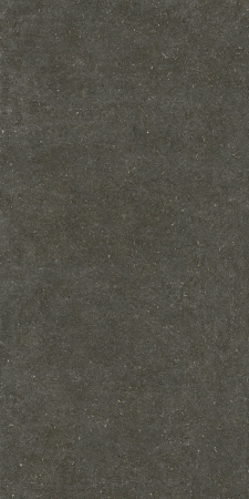 Placi ceramice portelanate Florim Rinascenza Arena Platino 120x240 [3]