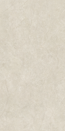 Placi ceramice portelanate Florim Stone Life Shell120x240 [2]