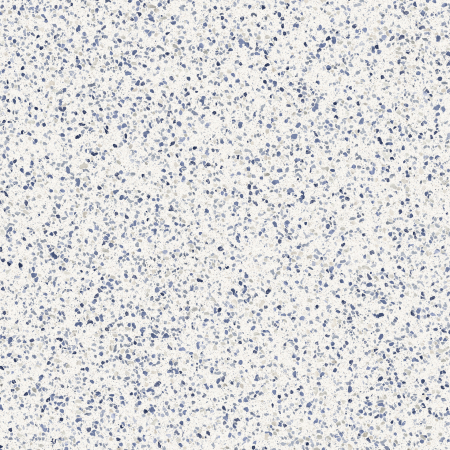 Placi ceramice portelanate Marazzi Frammento Micro 60x60 [3]